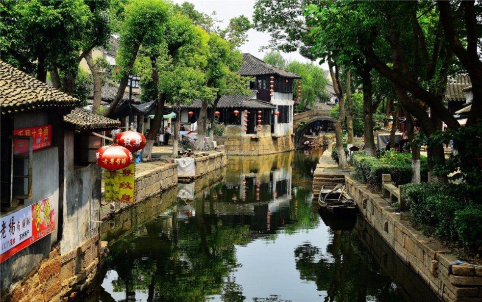 探索台风“鲸鱼”命名的由来是什么?知识问答,精准高效获取解答